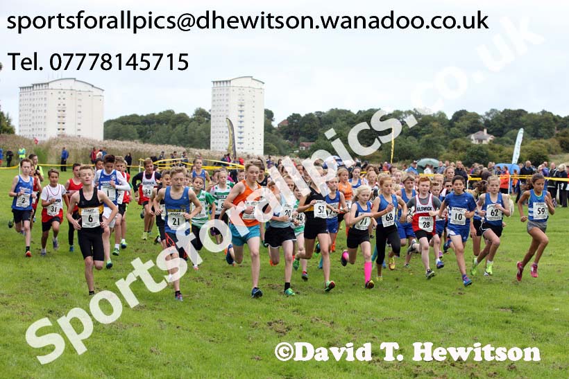 Under-13s Sunderland Harriers Open Cross Country. Photo: David T. Hewitson/Sports for All Pics